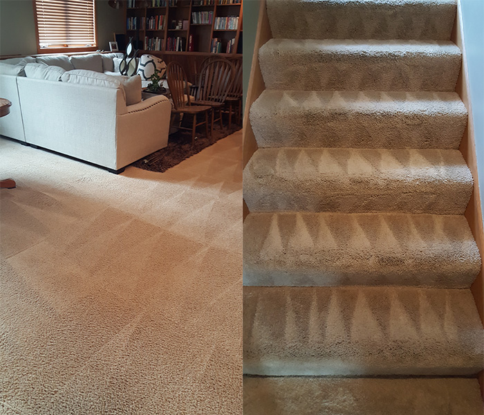 Carpet Cleaning Services St Paul MN